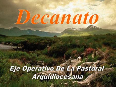 Eje Operativo De La Pastoral