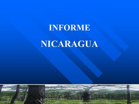 INFORME NICARAGUA.