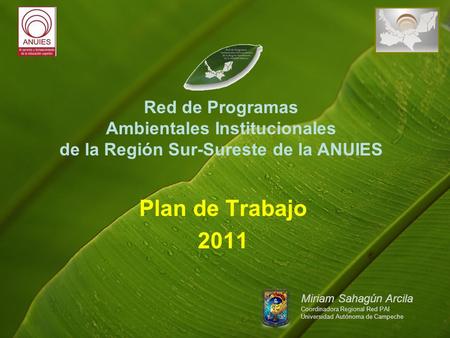 Red de Programas Ambientales InstitucionaIes de la Región Sur-Sureste de la ANUIES Plan de Trabajo 2011 Miriam Sahagún Arcila Coordinadora Regional Red.