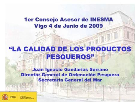 1er Consejo Asesor de INESMA Vigo 4 de Junio de 2009.