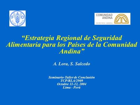 “Estrategia Regional de Seguridad Alimentaria para los Países de la Comunidad Andina” A. Lora, S. Salcedo Seminario-Taller de Conclusión TCP/RLA/2909.
