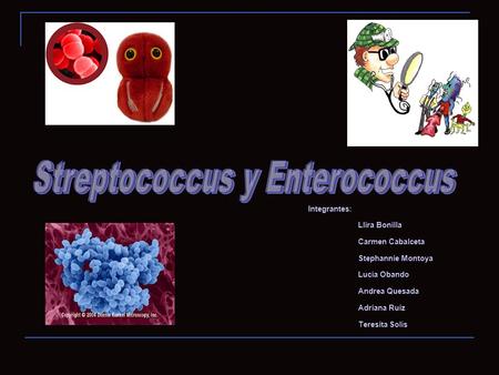 Streptococcus y Enterococcus