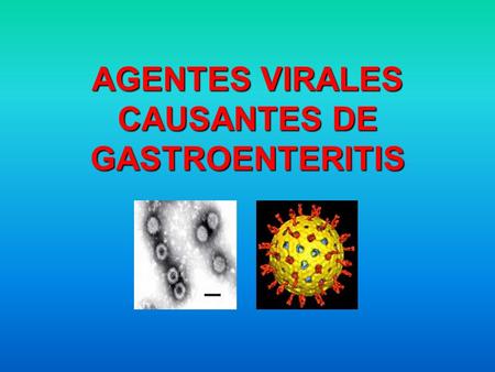 AGENTES VIRALES CAUSANTES DE GASTROENTERITIS