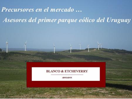 Asesores del primer parque eólico del Uruguay Precursores en el mercado …