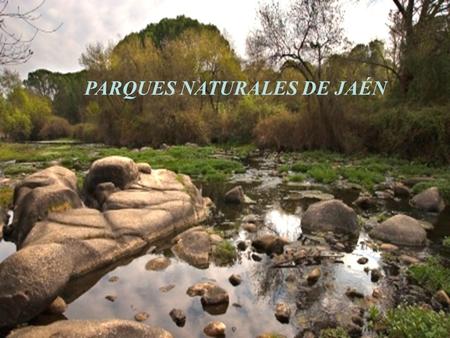 PARQUES NATURALES DE JAÉN