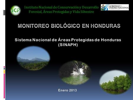 MONITOREO BIOLÓGICO EN HONDURAS
