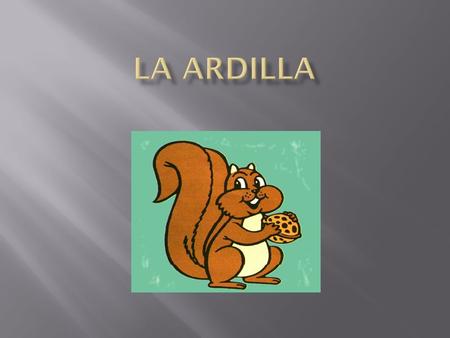 La Ardilla.