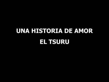 UNA HISTORIA DE AMOR EL TSURU.
