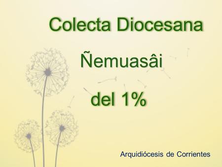 Colecta Diocesana Ñemuasâi del 1% Arquidiócesis de Corrientes.