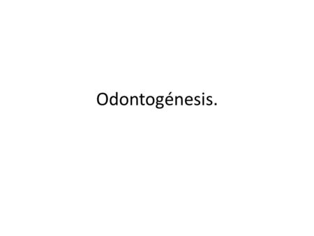 Odontogénesis..
