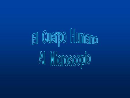 El Cuerpo Humano Al Microscopio.