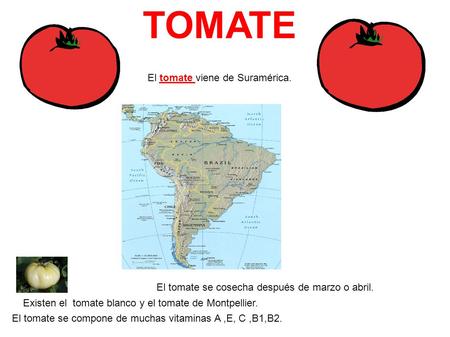 TOMATE El tomate viene de Suramérica.