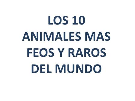 LOS 10 ANIMALES MAS FEOS Y RAROS DEL MUNDO