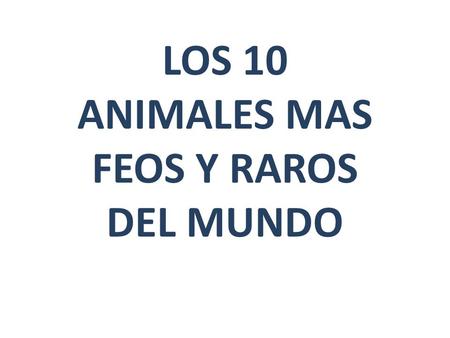 LOS 10 ANIMALES MAS FEOS Y RAROS DEL MUNDO