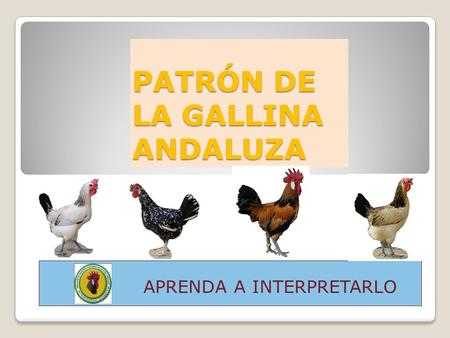 PATRÓN DE LA GALLINA ANDALUZA