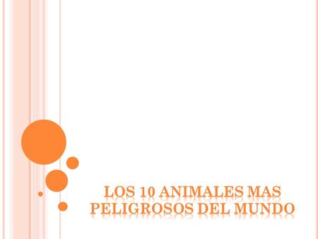 LOS 10 ANIMALES MAS PELIGROSOS DEL MUNDO
