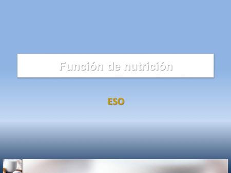 Función de nutrición ESO.