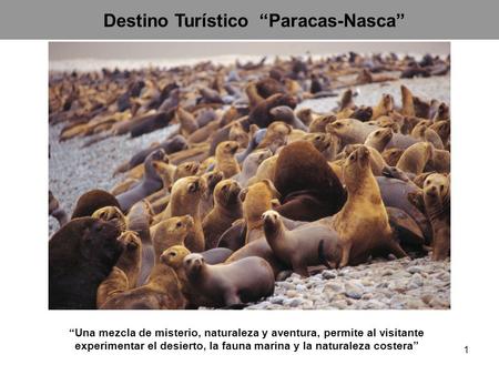 Destino Turístico “Paracas-Nasca”