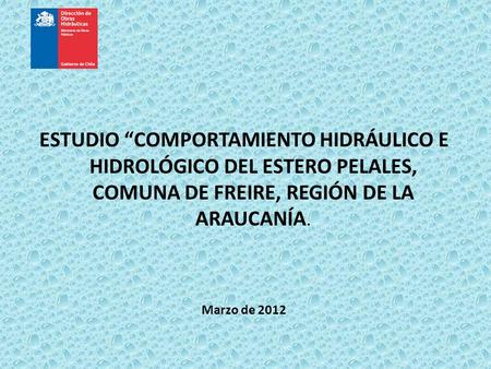 ESTUDIO “COMPORTAMIENTO HIDRÁULICO E HIDROLÓGICO DEL ESTERO PELALES, COMUNA DE FREIRE, REGIÓN DE LA ARAUCANÍA. Marzo de 2012.