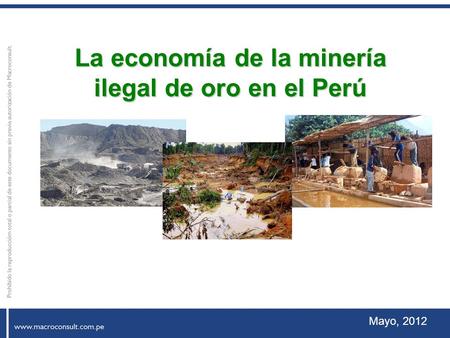 La economía de la minería ilegal de oro en el Perú