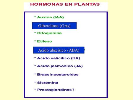 Giberelinas (GAs) Acido abscísico (ABA).