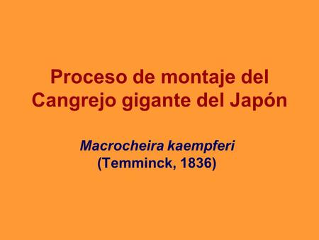 Proceso de montaje del Cangrejo gigante del Japón