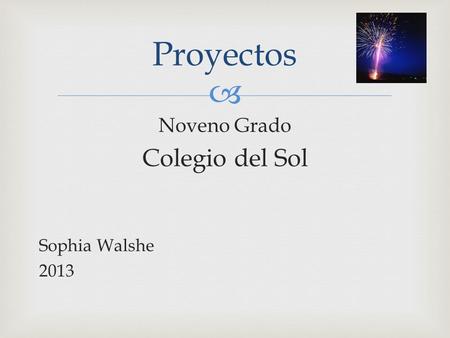 Noveno Grado Colegio del Sol Sophia Walshe 2013 Proyectos.