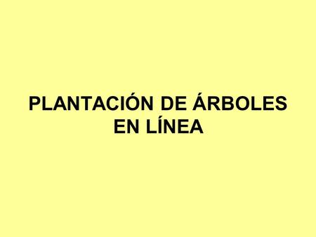 PLANTACIÓN DE ÁRBOLES EN LÍNEA