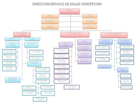 DIRECCION SERVICIO DE SALUD CONCEPCION