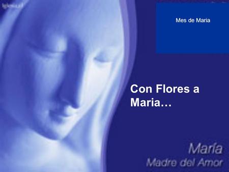 Mes de Maria Con Flores a Maria….