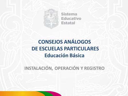 CONSEJOS ANÁLOGOS DE ESCUELAS PARTICULARES Educación Básica