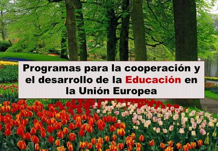 Programas para la cooperación y el desarrollo de la Educación en la Unión Europea