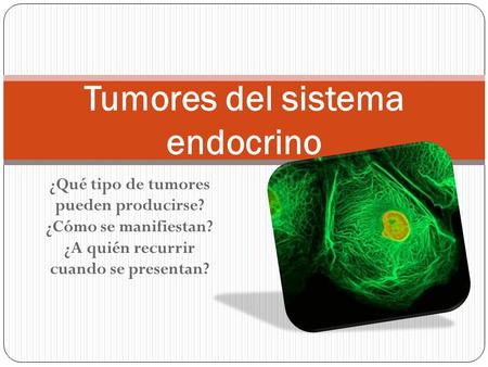 Tumores del sistema endocrino
