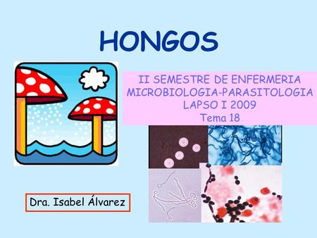HONGOS II SEMESTRE DE ENFERMERIA MICROBIOLOGIA-PARASITOLOGIA