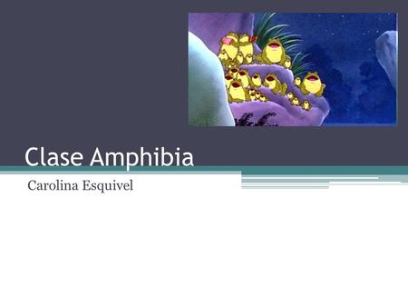 Clase Amphibia Carolina Esquivel.