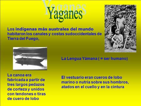 Yaganes Los indígenas más australes del mundo habitaron los canales y costas sudoccidentales de Tierra del Fuego, La Lengua Yámana ( = ser humano) La canoa.