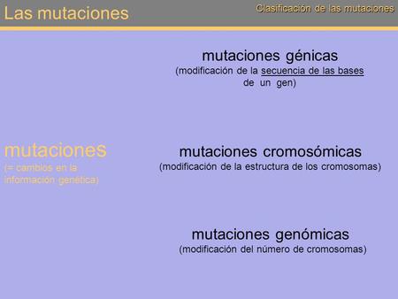 mutaciones (= cambios en la información genética)