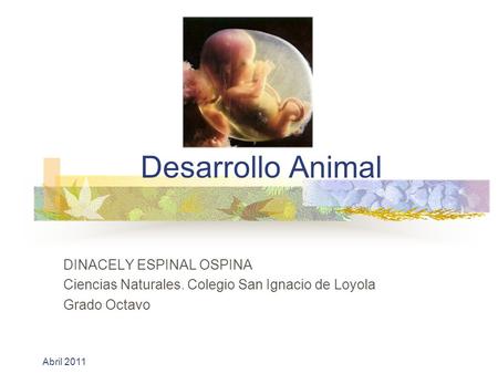 Desarrollo Animal DINACELY ESPINAL OSPINA