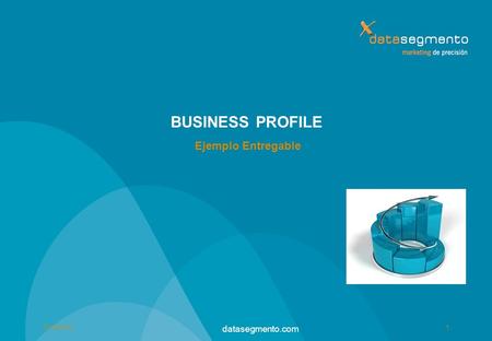 BUSINESS PROFILE Ejemplo Entregable 29/03/2017 datasegmento.com.