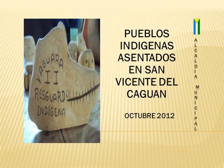 PUEBLOS INDIGENAS ASENTADOS EN SAN VICENTE DEL CAGUAN OCTUBRE 2012