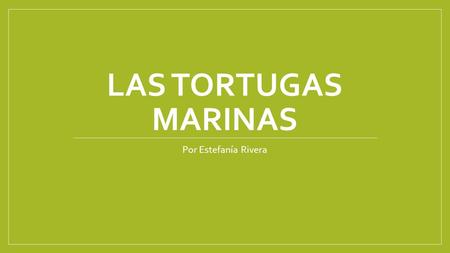 Las tortugas marinas Por Estefanía Rivera.