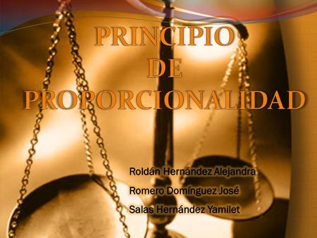PRINCIPIO DE PROPORCIONALIDAD