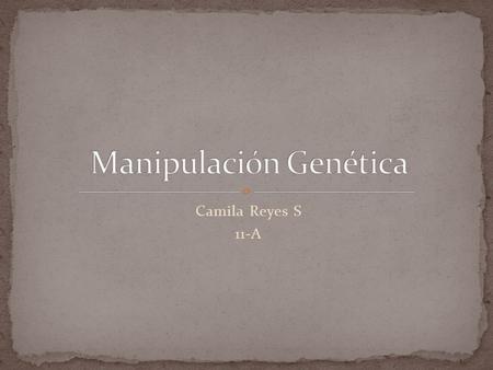 Camila Reyes S 11-A. Formación de nuevas combinaciones de material hereditario por i nserción de moléculas de ácido nucleico, obtenidas fuera de la célula,