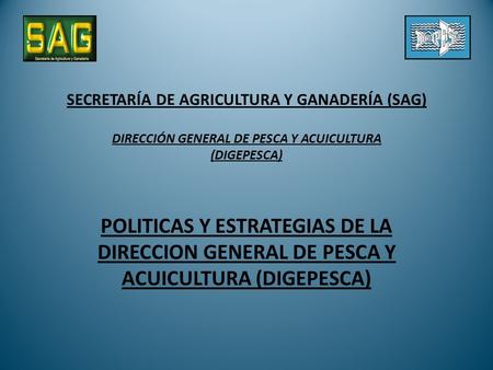 SECRETARÍA DE AGRICULTURA Y GANADERÍA (SAG) DIRECCIÓN GENERAL DE PESCA Y ACUICULTURA (DIGEPESCA) POLITICAS Y ESTRATEGIAS DE LA DIRECCION GENERAL DE PESCA.