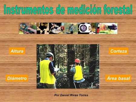 Instrumentos de medición forestal
