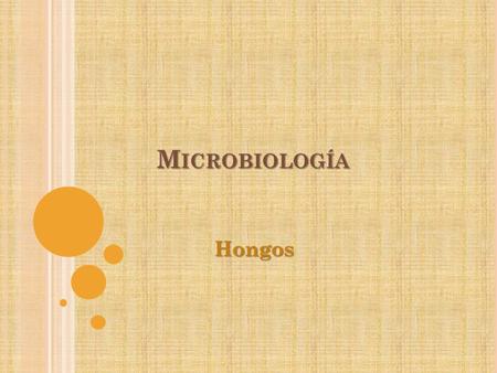 Microbiología Hongos.