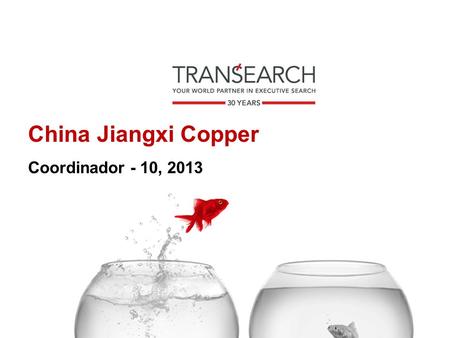 China Jiangxi Copper Coordinador - 10, 2013. Estrategia de busqueda - - Base de Datos de Transearch Peru - Referencias.