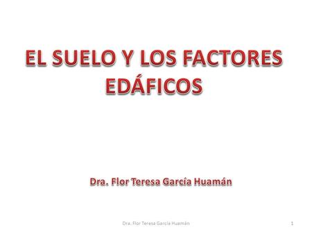 EL SUELO Y LOS FACTORES EDÁFICOS Dra. Flor Teresa García Huamán