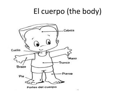 El cuerpo (the body). Cabeza El cuerpo (the body) Boca.