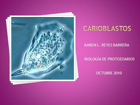 carioblastoS KAREN L. REYES BARRERA BIOLOGÍA DE PROTOZOARIOS
